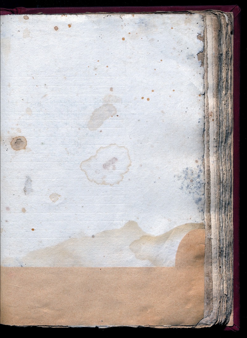 Hikayat Nabi Sulaiman (MS 25031) - digital image 2