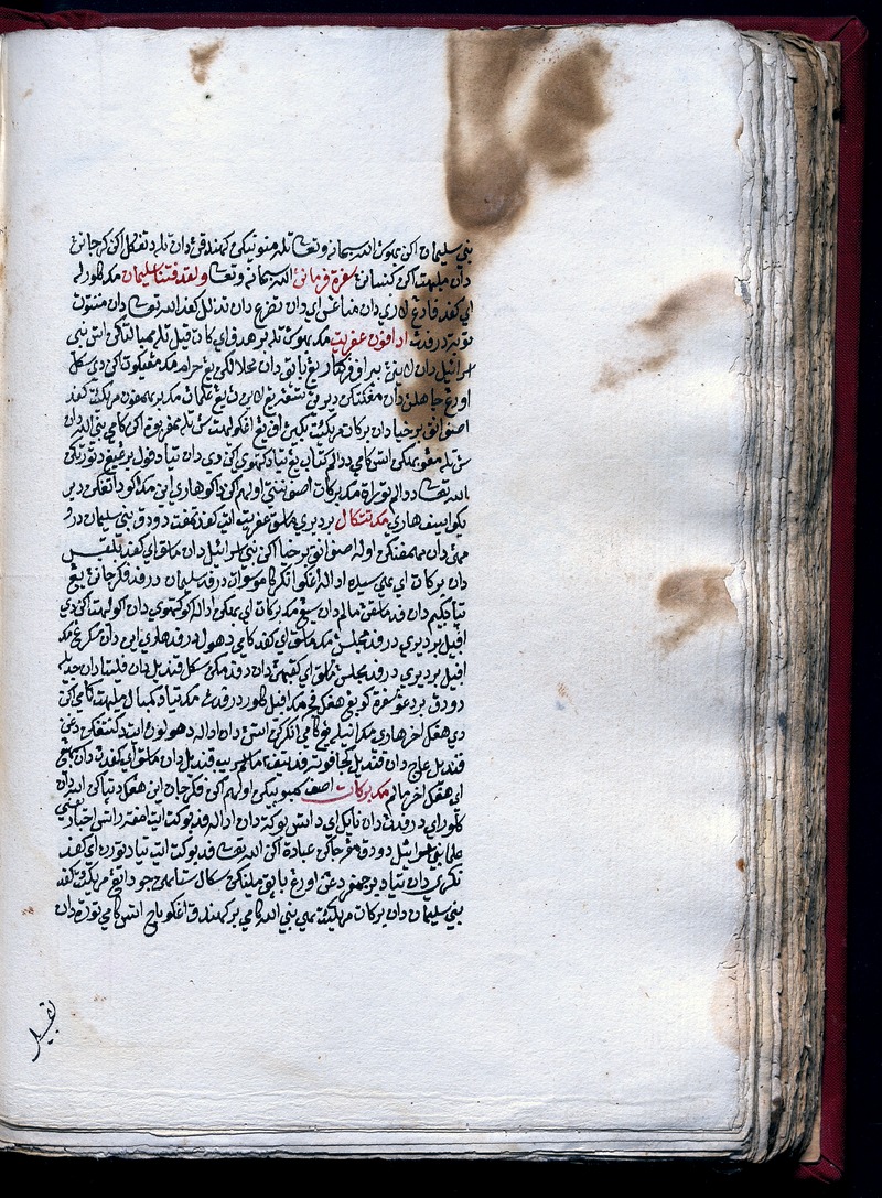 Hikayat Nabi Sulaiman (MS 25031) - digital image 38