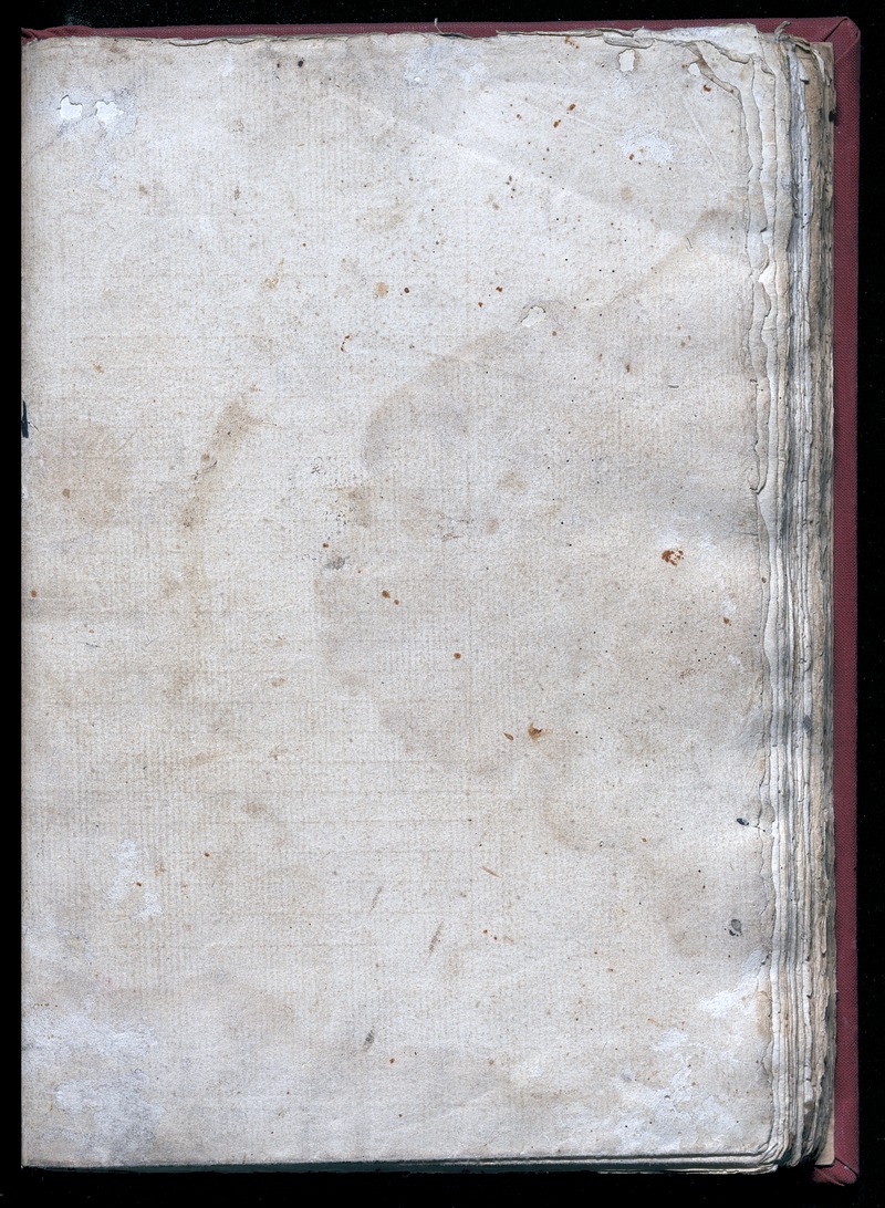 Hikayat Nabi Sulaiman (MS 25031) - digital image 64