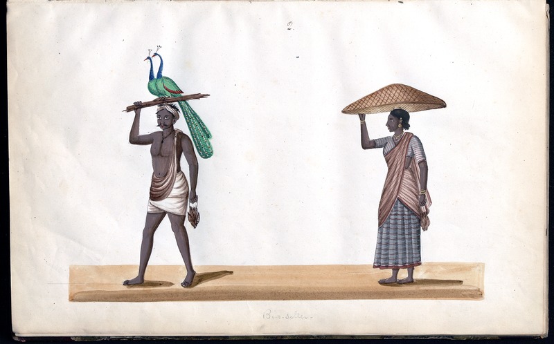 Album of 'Company' paintings of occupations and festivals, Southern India (CWML MSS 500) - digital image 9