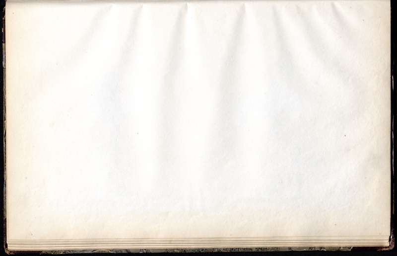 Album of 'Company' paintings of occupations and festivals, Southern India (CWML MSS 500) - digital image 40