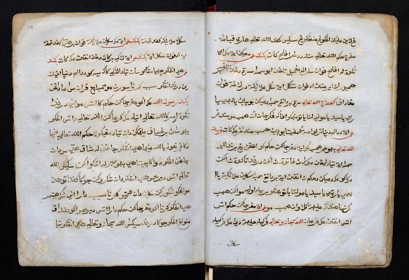 حكاية ابو شامه - 