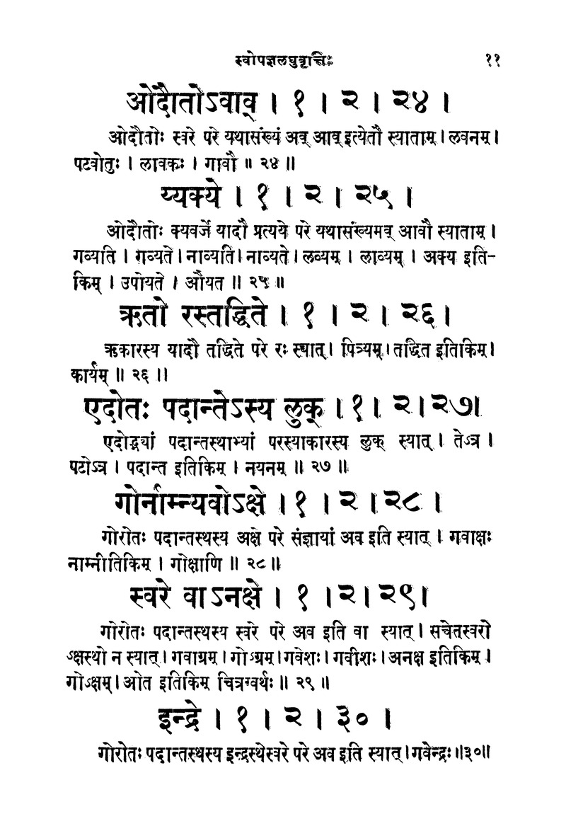 ससद्धहेमचन्द्रासिधानास्वोपज्ञशब्दानुशासन लघुवृसि - Page 11