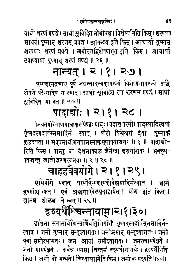 ससद्धहेमचन्द्रासिधानास्वोपज्ञशब्दानुशासन लघुवृसि - Page 43