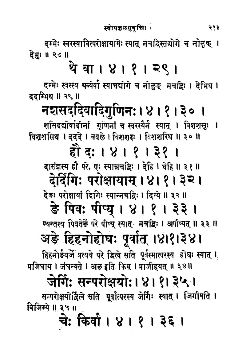 ससद्धहेमचन्द्रासिधानास्वोपज्ञशब्दानुशासन लघुवृसि - Page 213