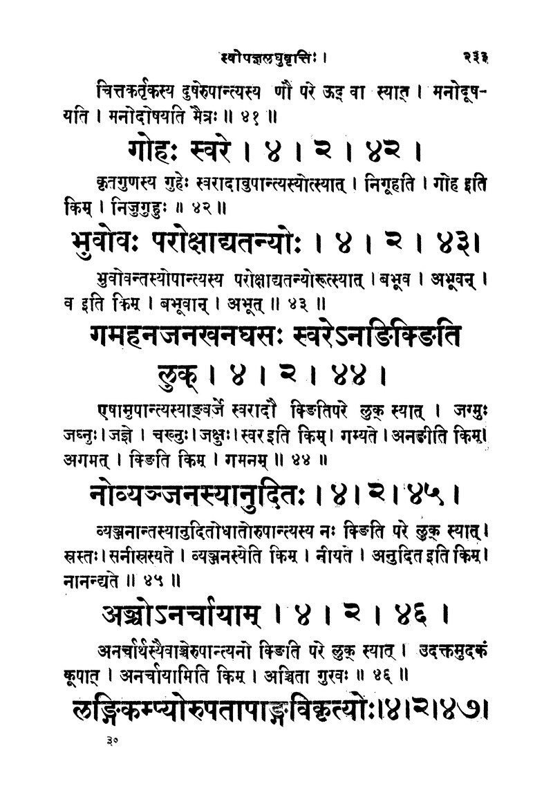 ससद्धहेमचन्द्रासिधानास्वोपज्ञशब्दानुशासन लघुवृसि - Page 233