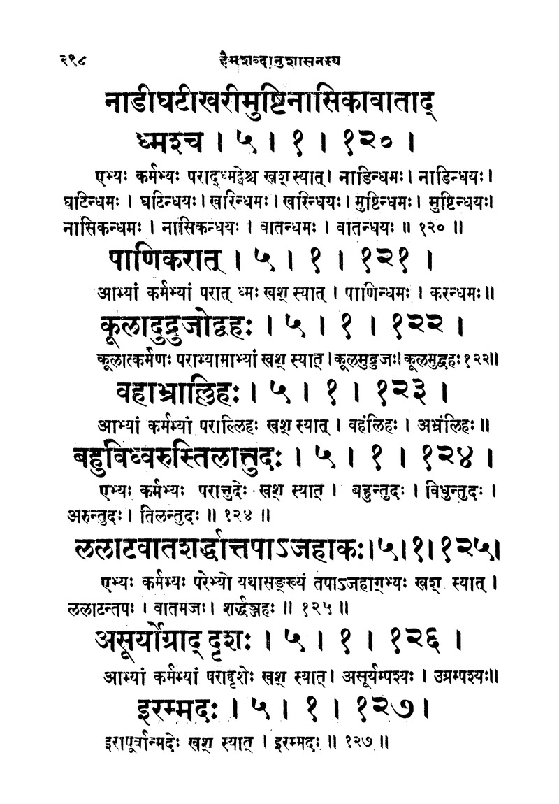 ससद्धहेमचन्द्रासिधानास्वोपज्ञशब्दानुशासन लघुवृसि - Page 298