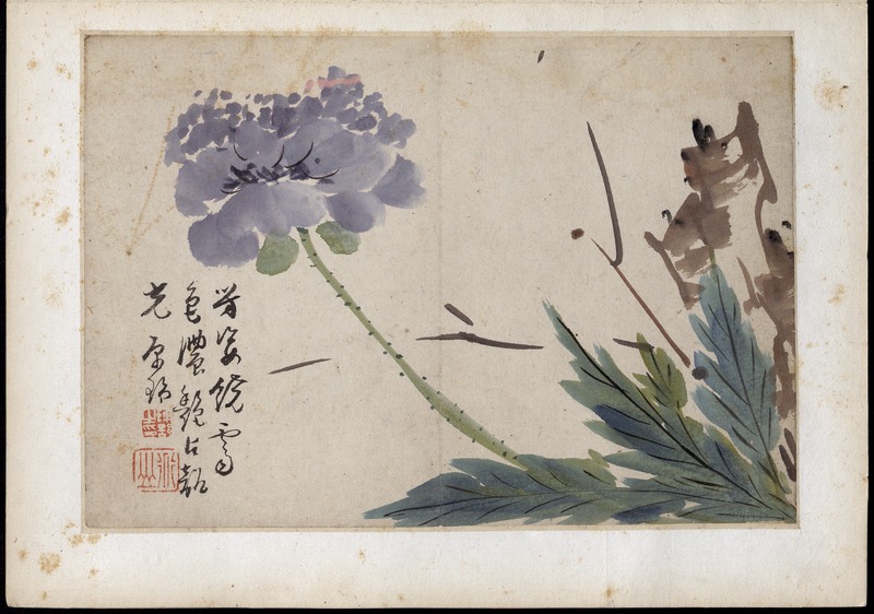 陳舒花卉 - digital image 8