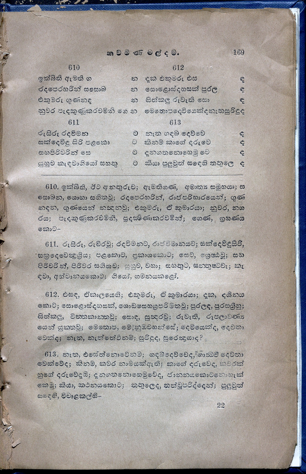 Kaw mini mal dama - digital image 209