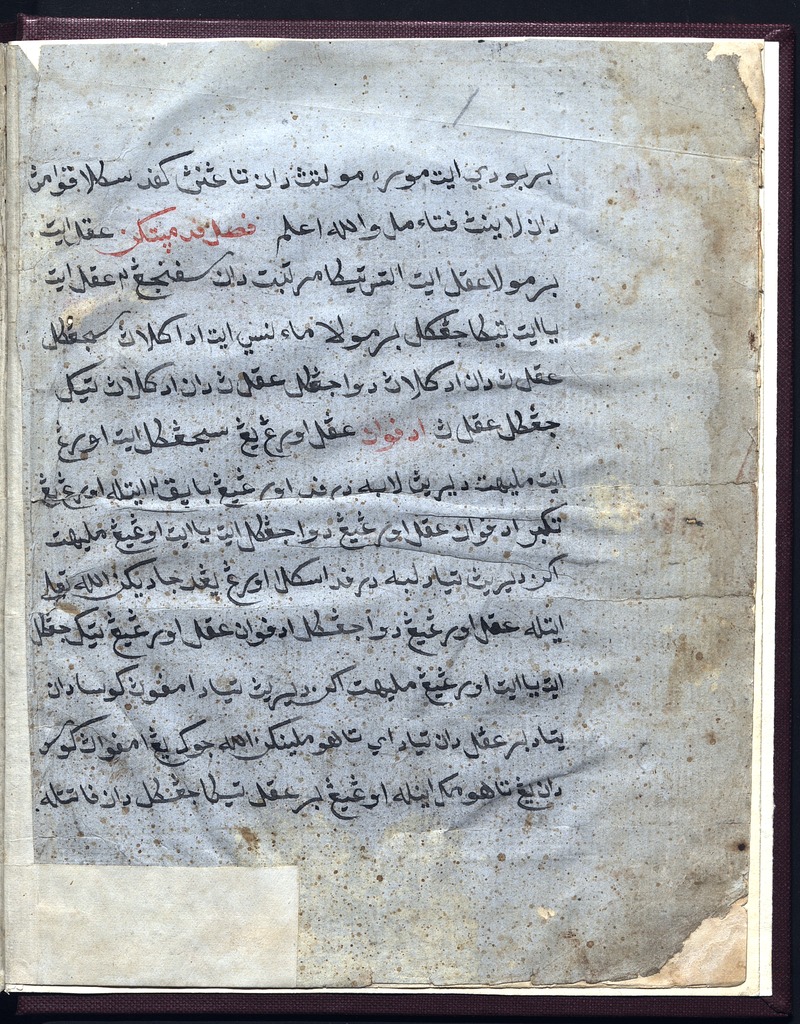 Ilmu tabib ubat - digital image 2