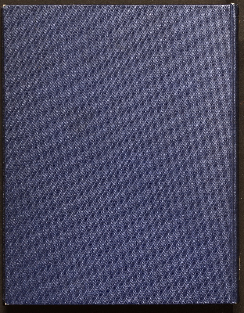 قصه موش وگربه - digital image 66