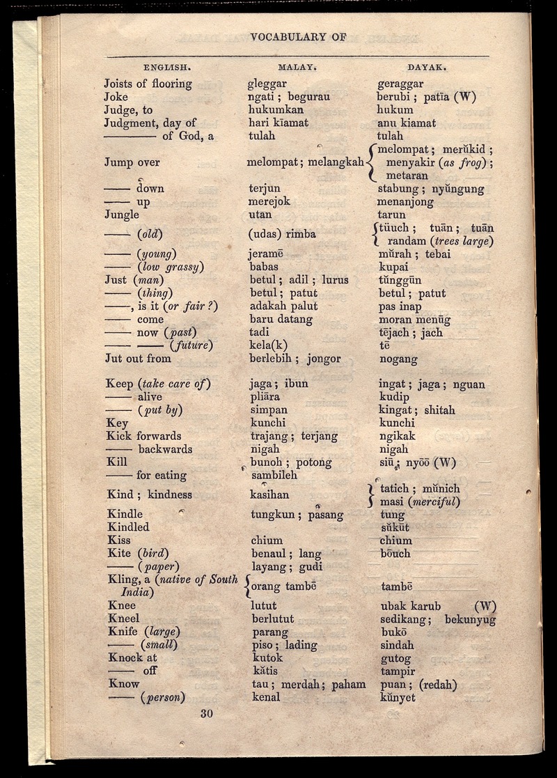 Vocabulary of English, Malay, and Sarawak Dayaks - Page 30