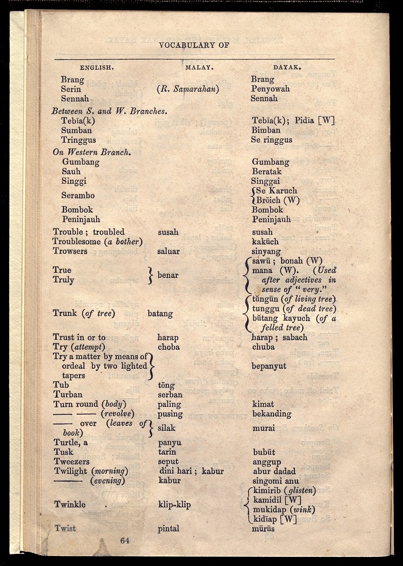 Vocabulary of English, Malay, and Sarawak Dayaks - Page 64