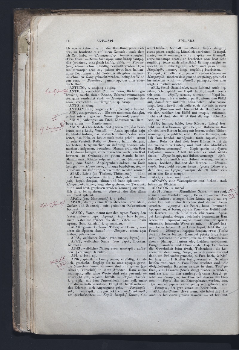 Dajacksch-deutsches Wörterbuch - digital image 21