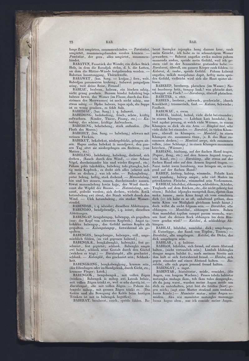 Dajacksch-deutsches Wörterbuch - digital image 29