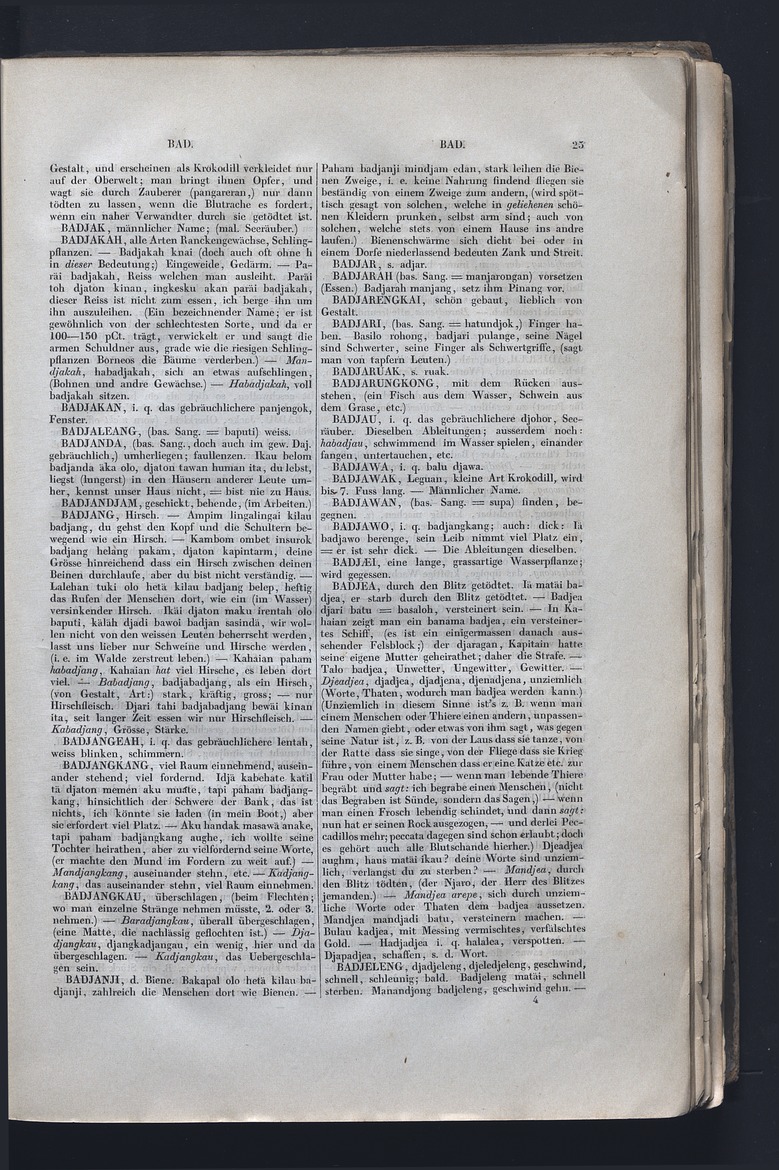 Dajacksch-deutsches Wörterbuch - digital image 32