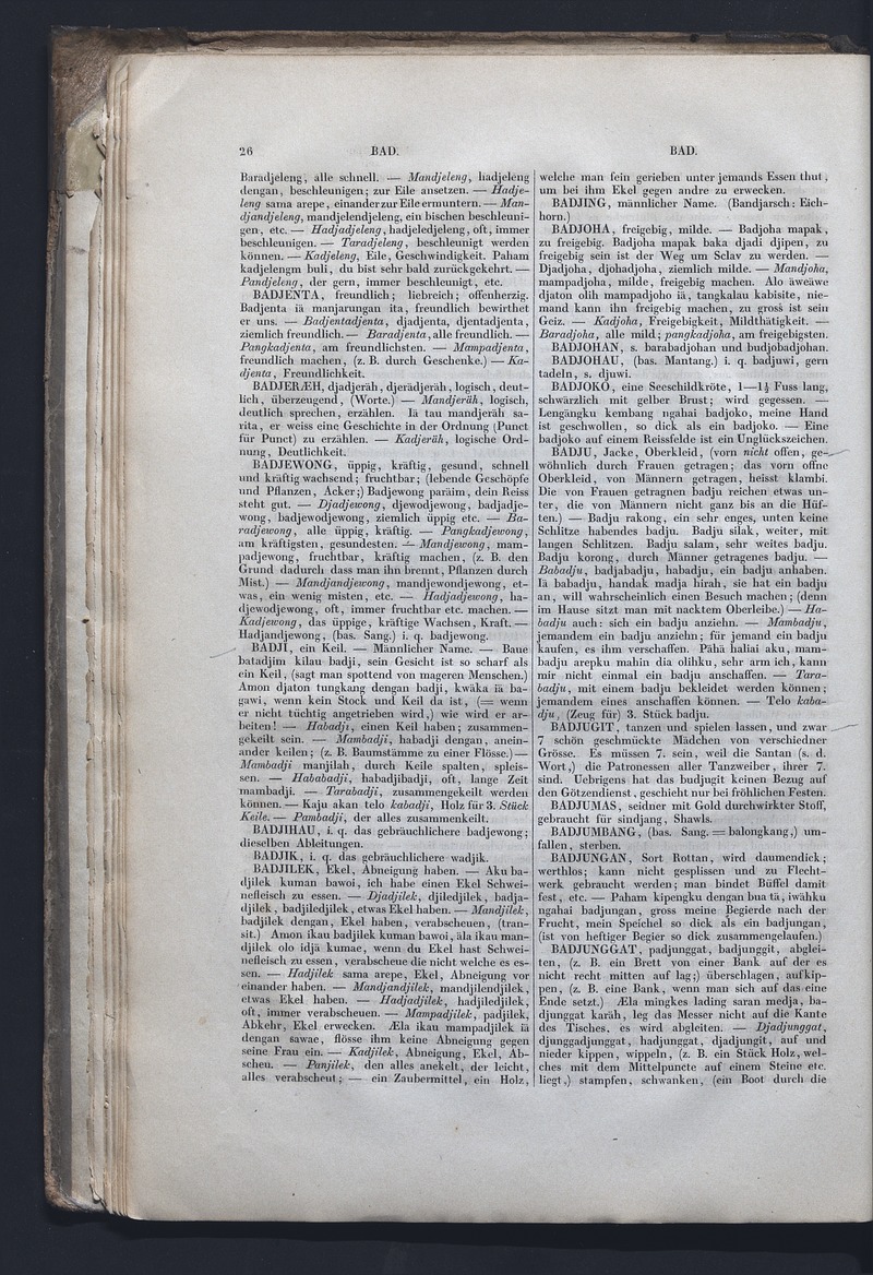 Dajacksch-deutsches Wörterbuch - digital image 33