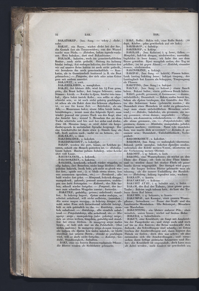 Dajacksch-deutsches Wörterbuch - digital image 39