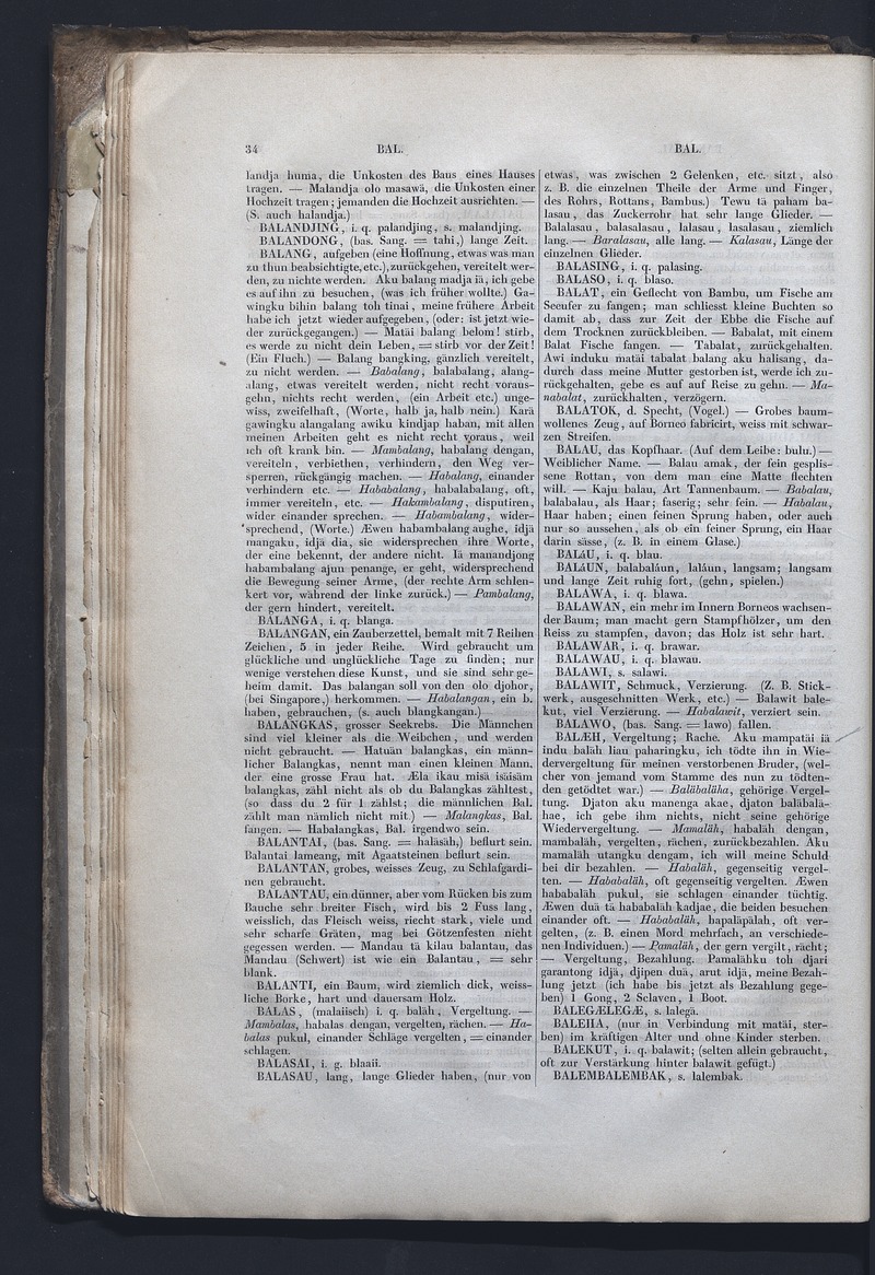 Dajacksch-deutsches Wörterbuch - digital image 41