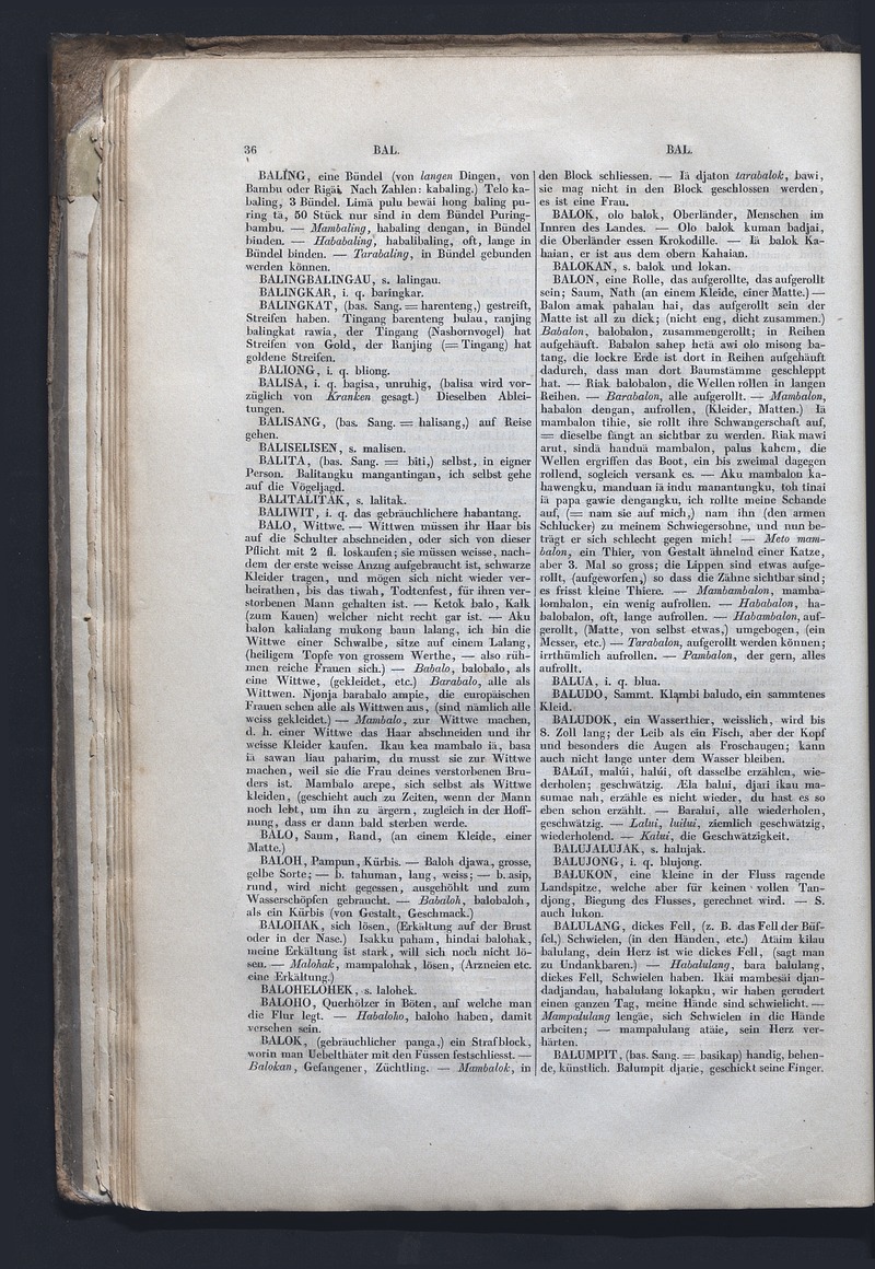 Dajacksch-deutsches Wörterbuch - digital image 43