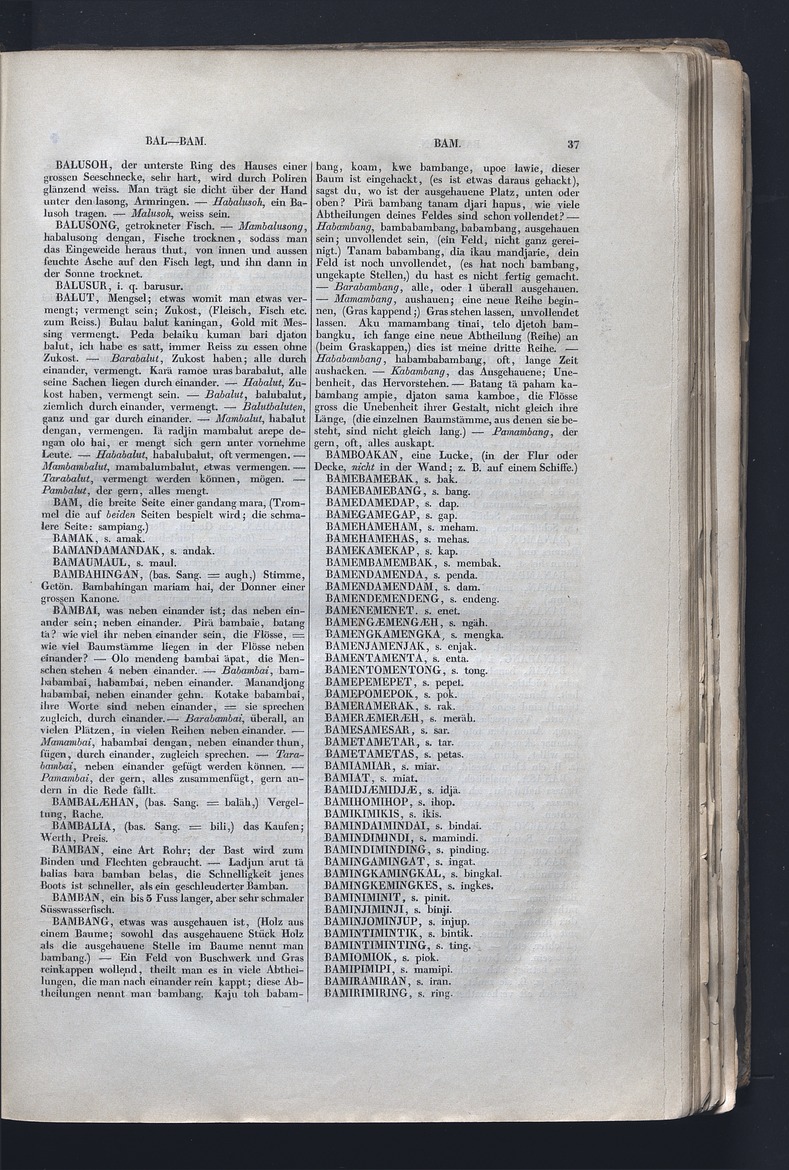 Dajacksch-deutsches Wörterbuch - digital image 44
