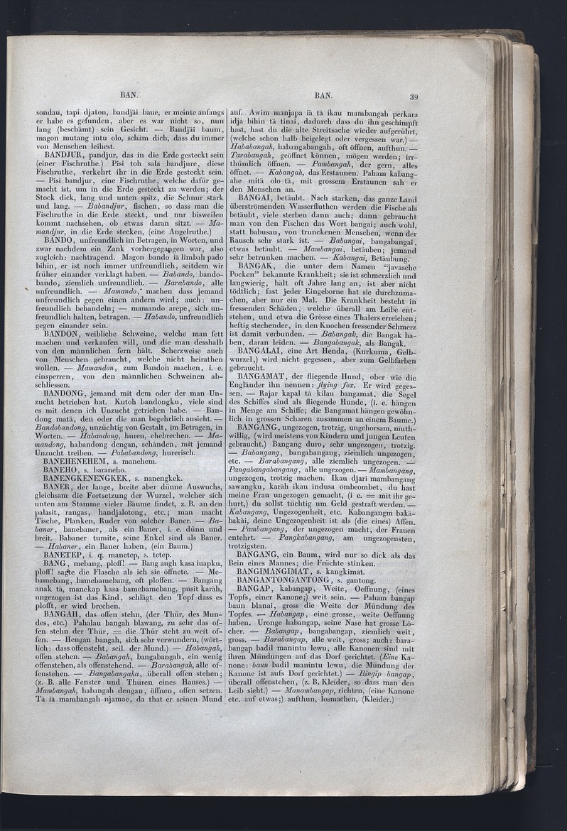 Dajacksch-deutsches Wörterbuch - digital image 46