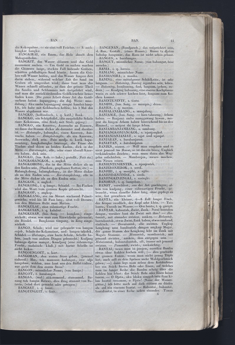 Dajacksch-deutsches Wörterbuch - digital image 48