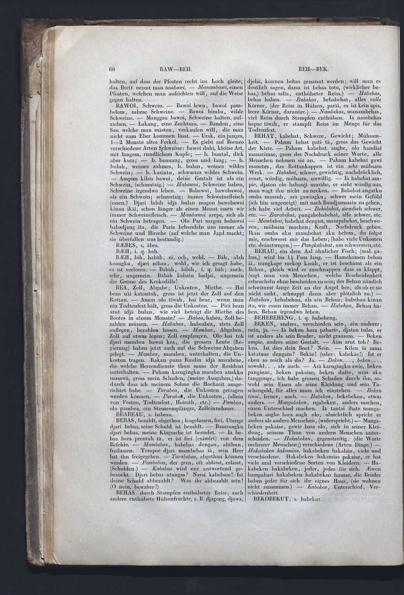 Dajacksch-deutsches Wörterbuch - digital image 67