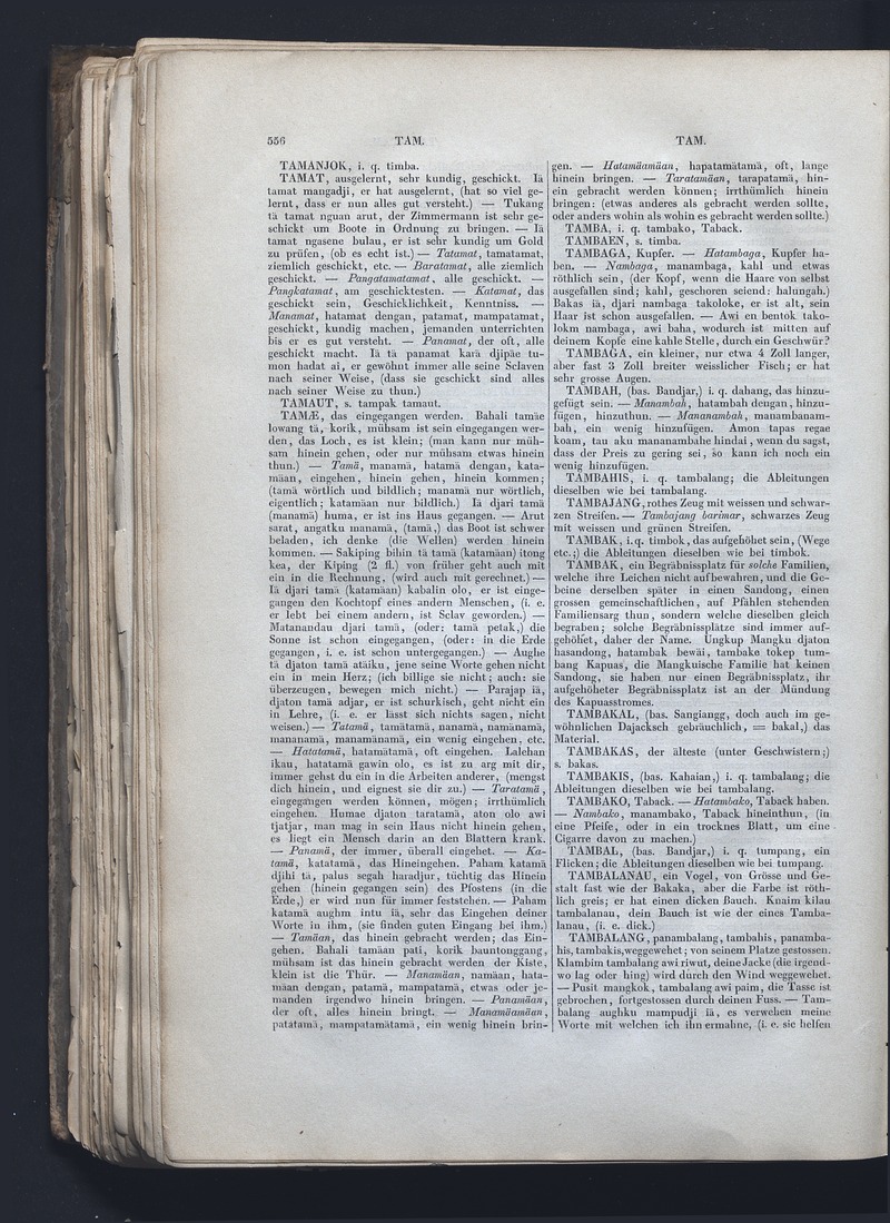 Dajacksch-deutsches Wörterbuch - digital image 563