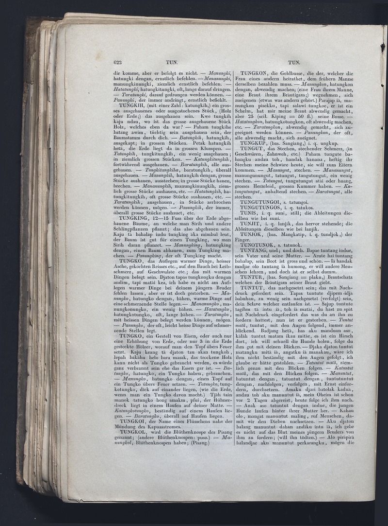 Dajacksch-deutsches Wörterbuch - digital image 629
