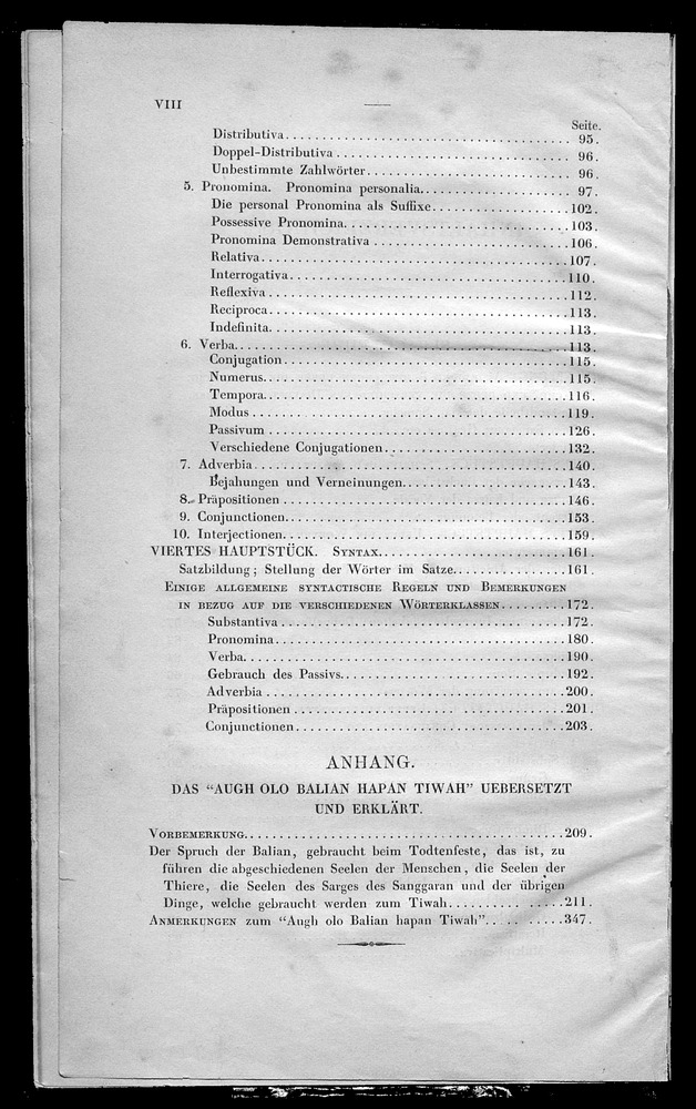 Versuch einer Grammatik der dajackschen Sprache - Page viii