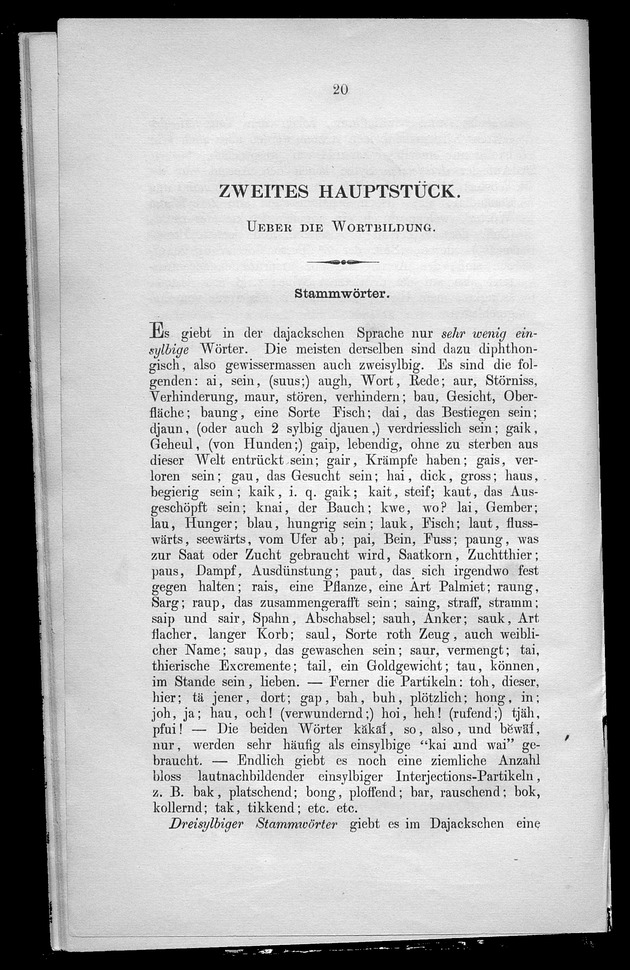 Versuch einer Grammatik der dajackschen Sprache - Page 20