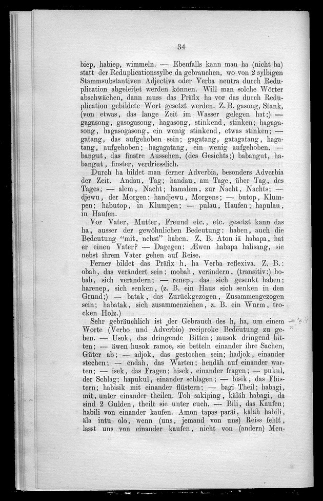 Versuch einer Grammatik der dajackschen Sprache - Page 34