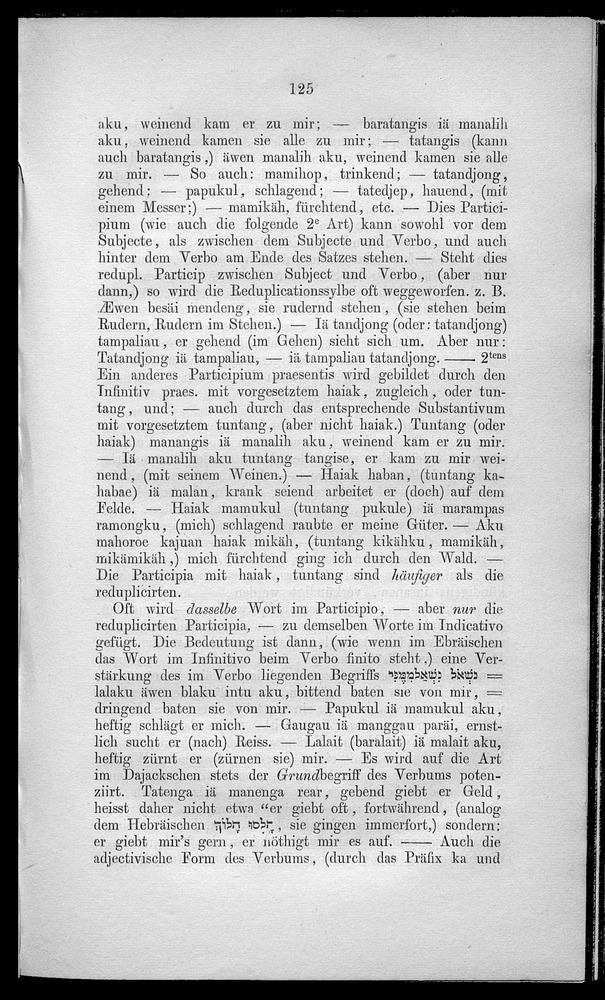 Versuch einer Grammatik der dajackschen Sprache - Page 125