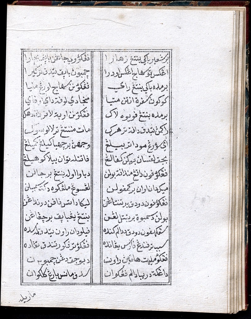 Sha'ir Bunga Ayer Mawar - digital image 30