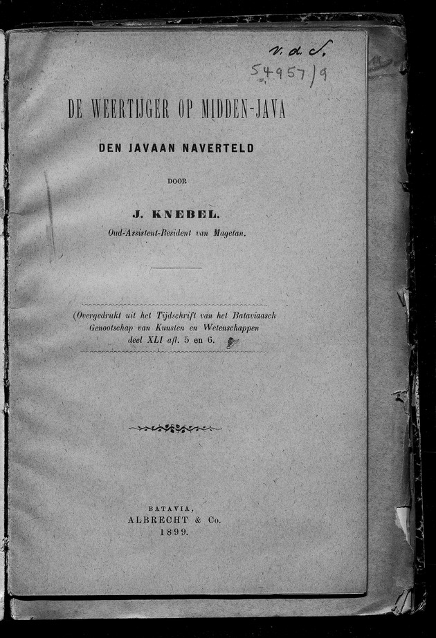 Weertijger op Midden den Javaan Naverteld - digital image 1