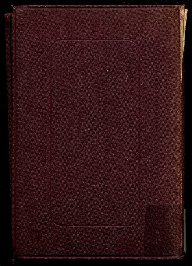 China and the Gospel - digital image 324