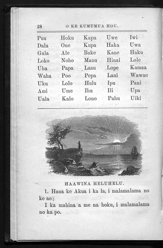 O ke kumumua hou - digital image 34