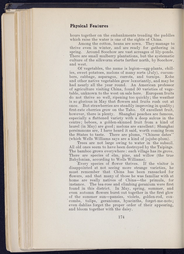 Shanghai - digital image 250