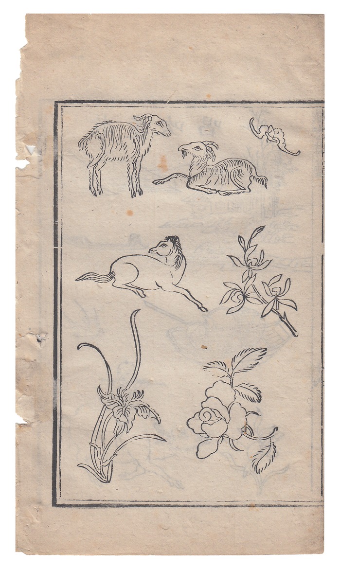 姑蘇顧繡花譜 - 