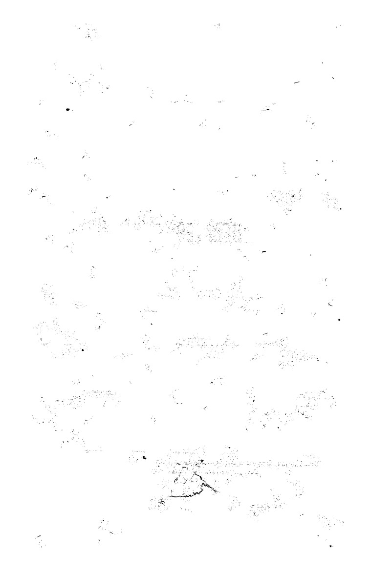 Constituent Assembly of Pakistan debates - New Page