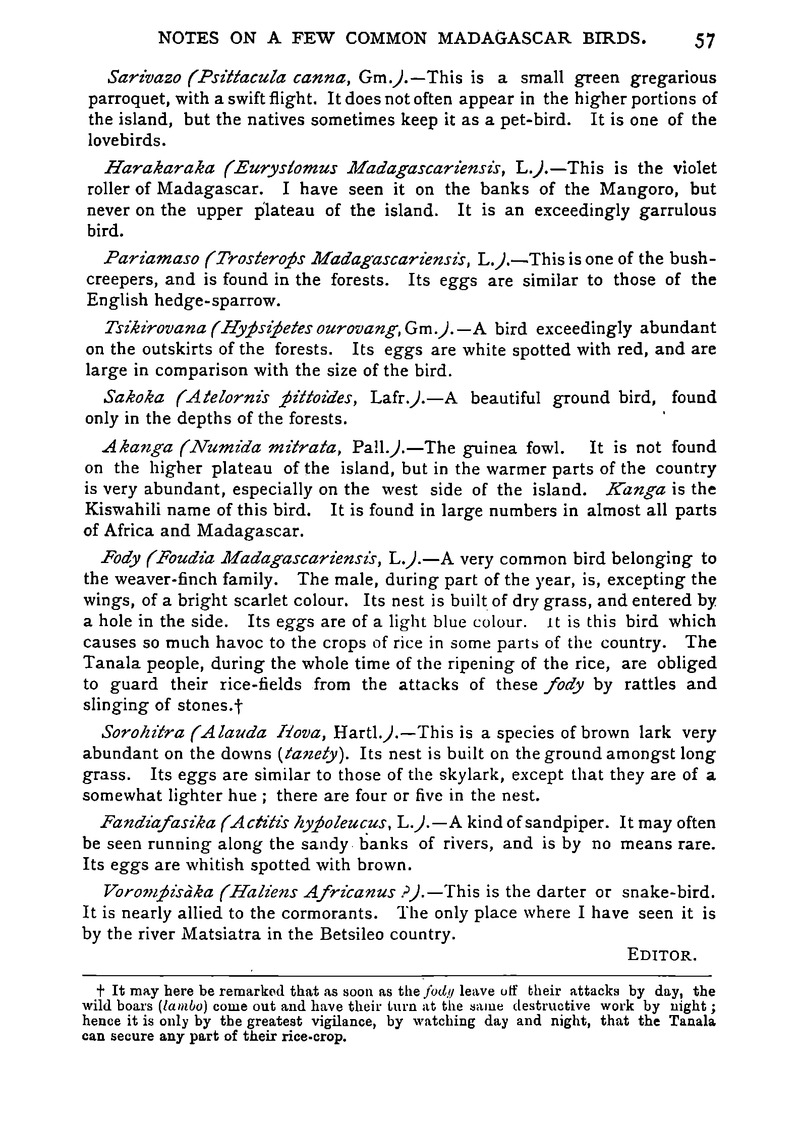 Antananarivo annual and Madagascar magazine - Page 57