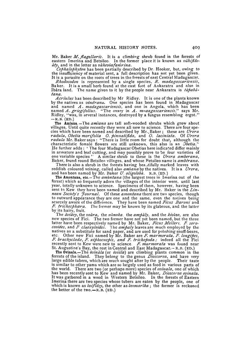 Antananarivo annual and Madagascar magazine - Page 409