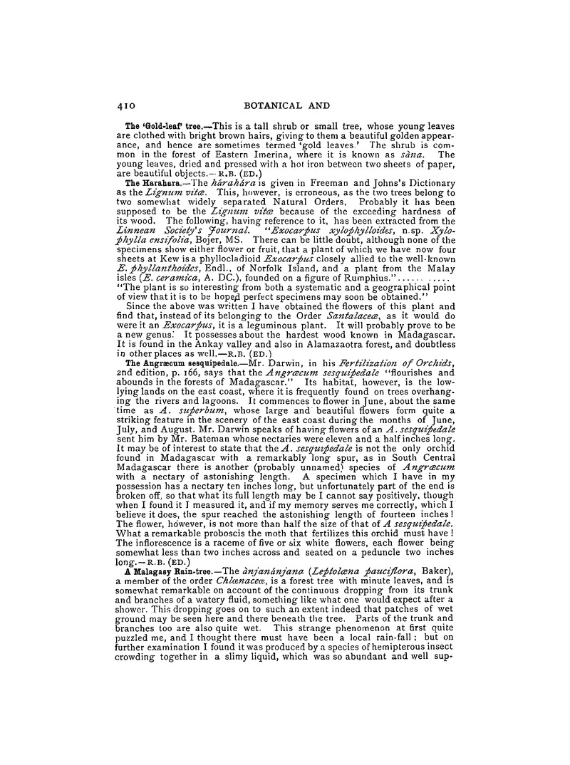 Antananarivo annual and Madagascar magazine - Page 410