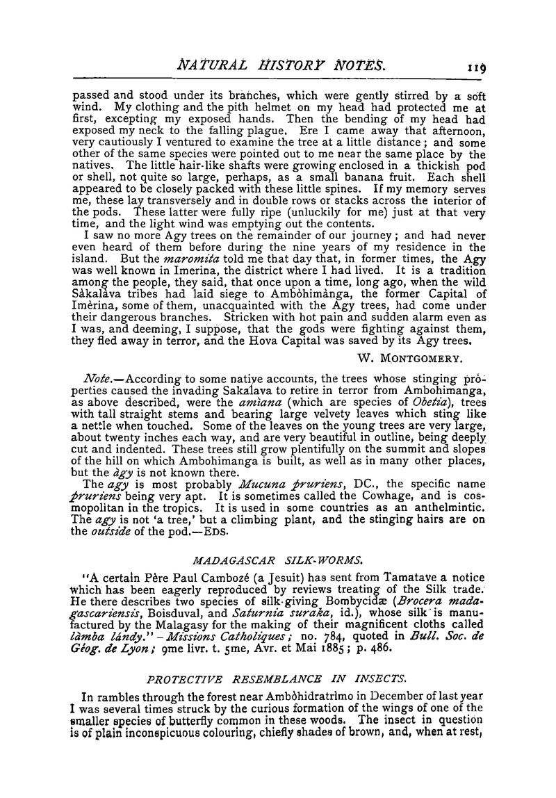 Antananarivo annual and Madagascar magazine - Page 119