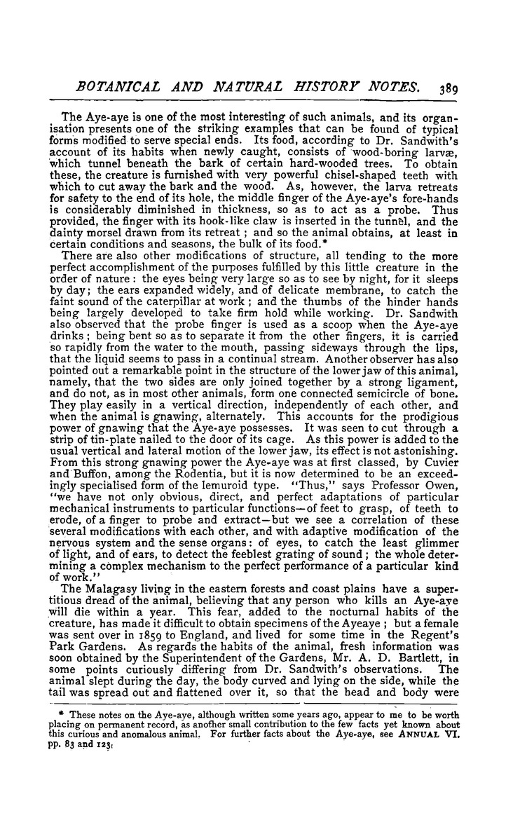 Antananarivo annual and Madagascar magazine - Page 389