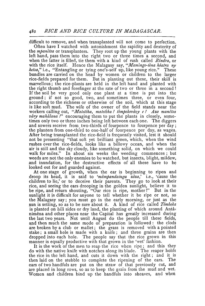 Antananarivo annual and Madagascar magazine - New 482