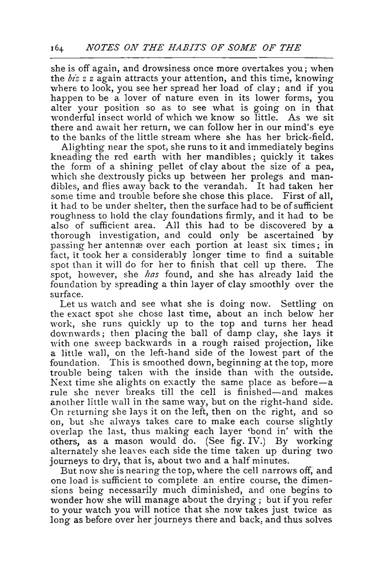 Antananarivo annual and Madagascar magazine - Page 164