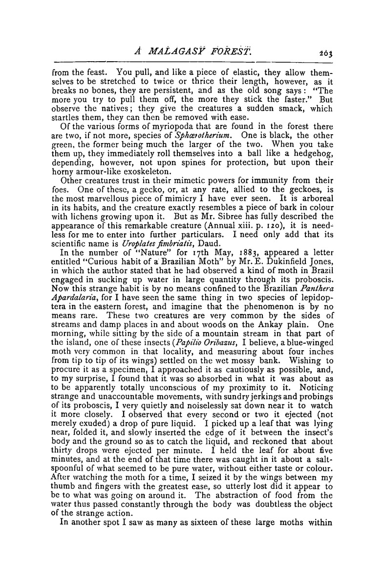 Antananarivo annual and Madagascar magazine - Page 203