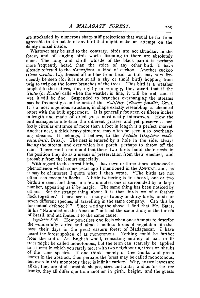 Antananarivo annual and Madagascar magazine - Page 205